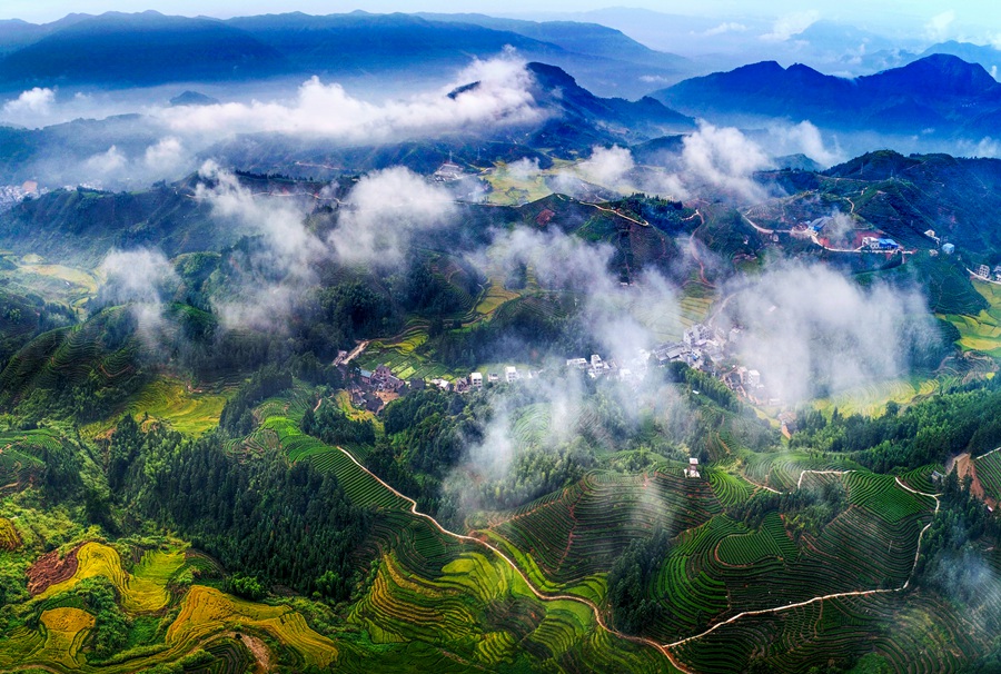 图为玛坑乡千亩生态观光茶园 席国胜摄.jpg